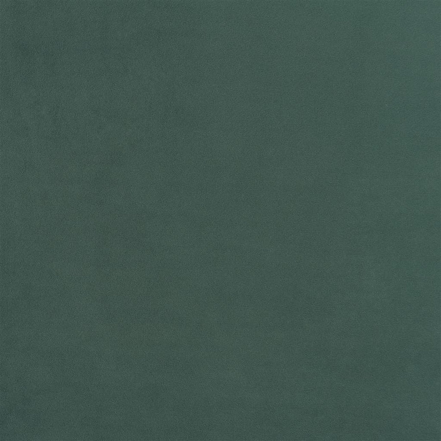 Trentino Stretto - Fir