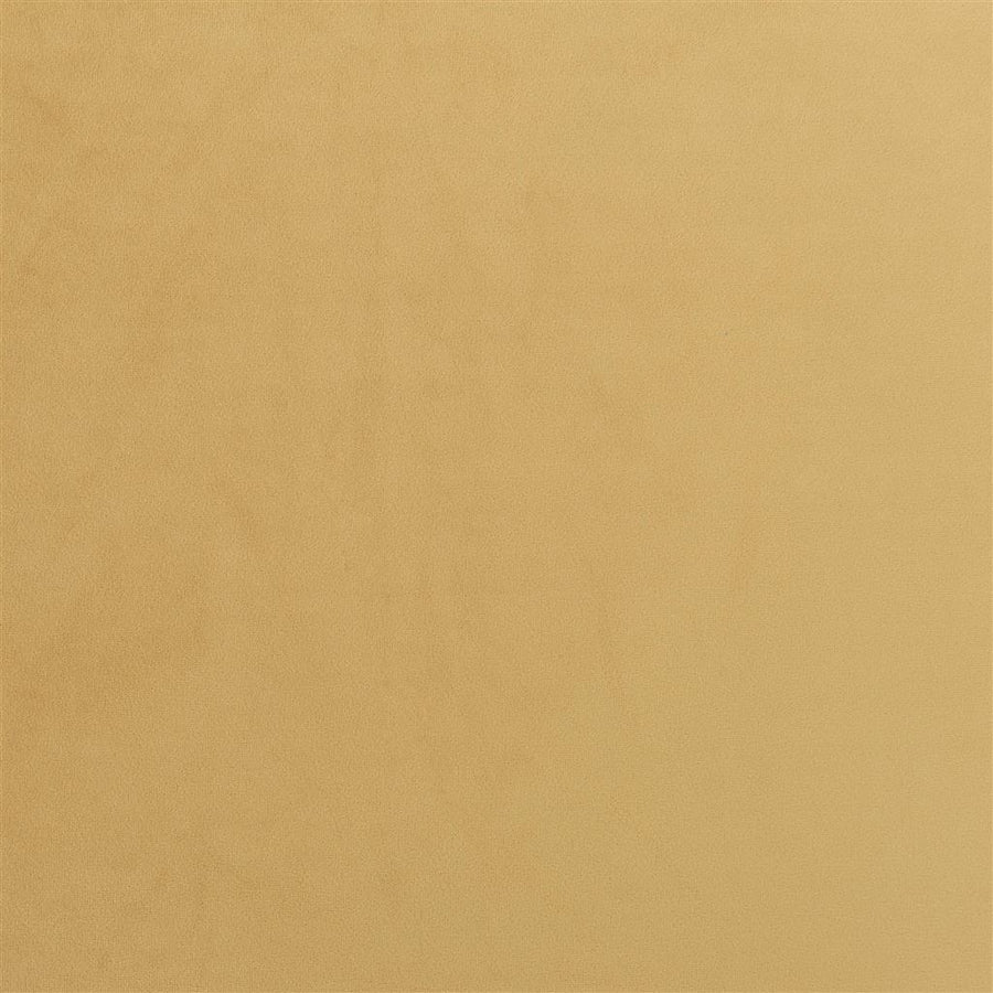 Trentino Stretto - Ochre