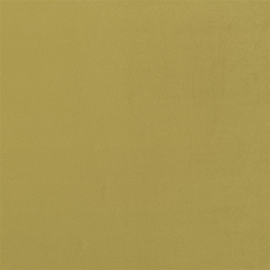 Trentino Stretto - Moss