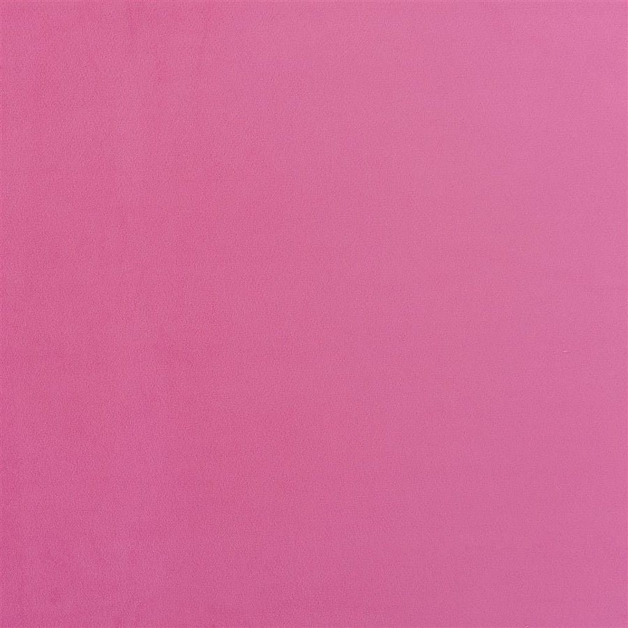 Trentino Stretto - Peony