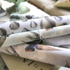 John Derian Captain Thomas Browns Shells Oyster