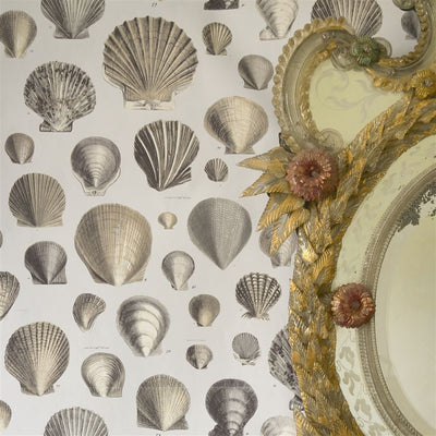 John Derian Captain Thomas Browns Shells Oyster