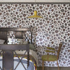 John Derian Captain Thomas Browns Shells Oyster