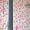 John Derian Variegated Azalea Azalea