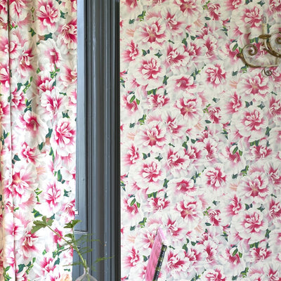 John Derian Variegated Azalea Azalea